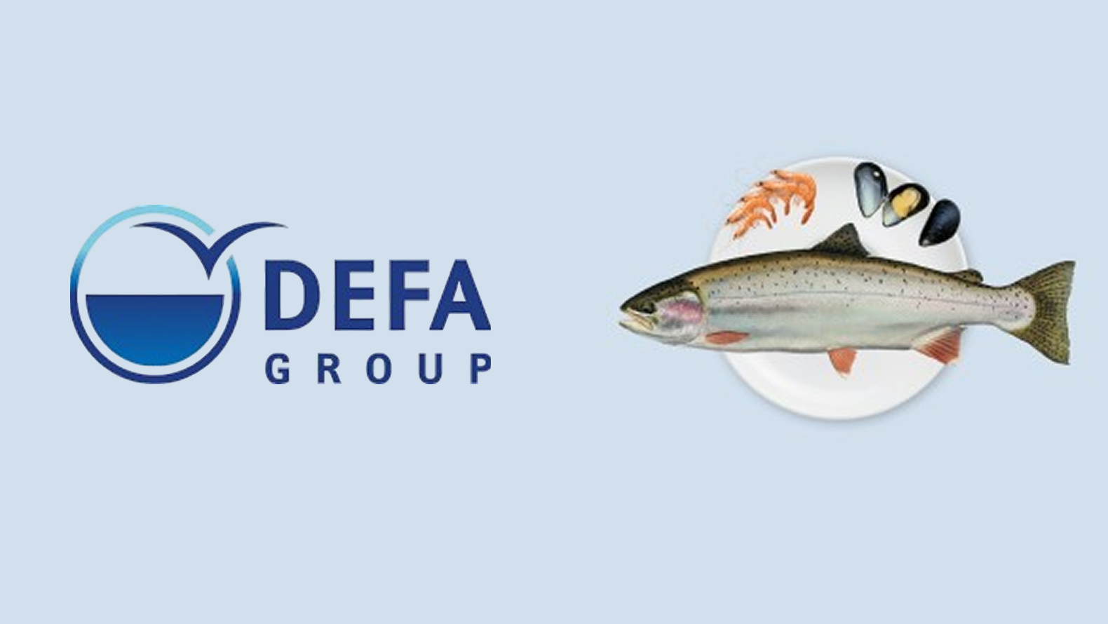 Defa group